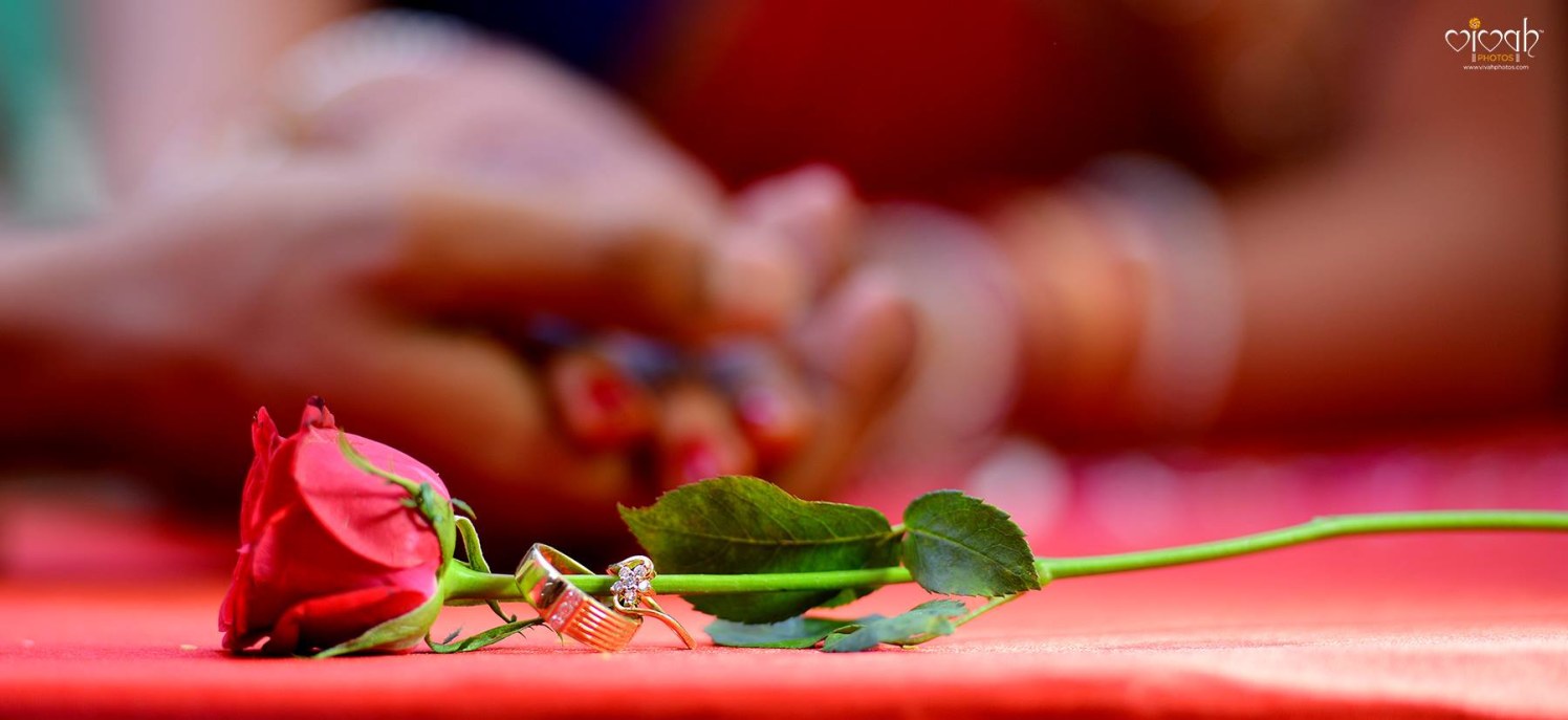 Rose and ring by VIVAH PHOTOS Wedding-photography | Weddings Photos & Ideas
