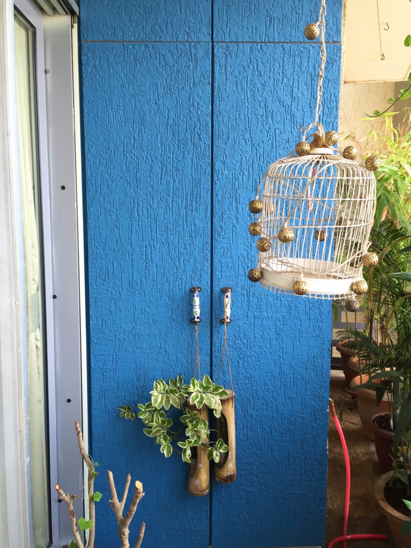 Blue Wooden Cabinet with Hanging Plants by Viraf Laskari Open-spaces Contemporary | Interior Design Photos & Ideas