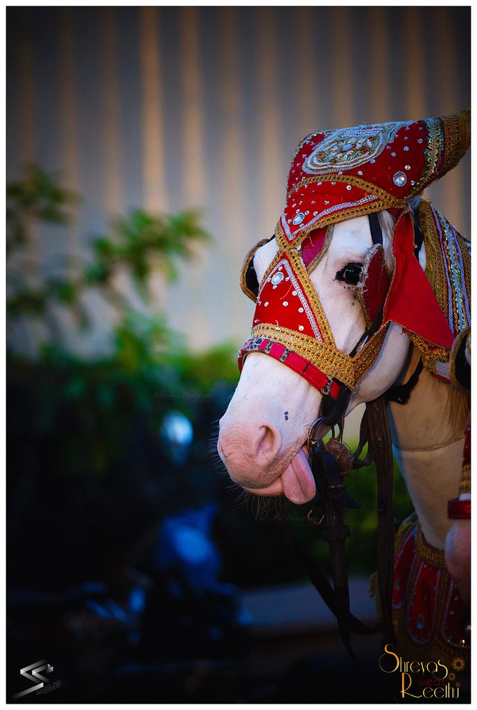Wedding essentials! by Silverline Photography Wedding-photography | Weddings Photos & Ideas