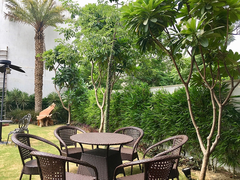 Breakfast with Nature by Anil Verma