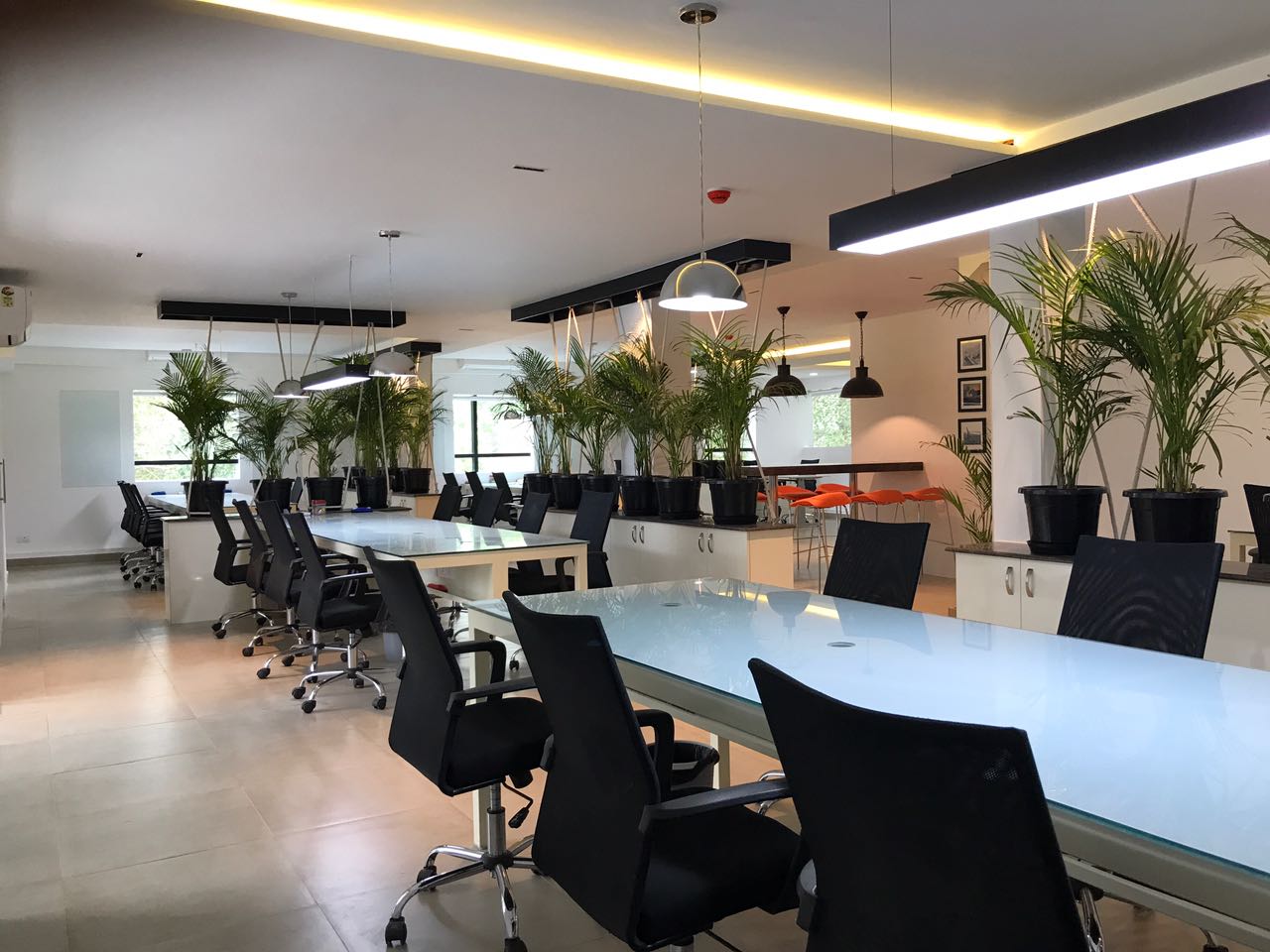 Green Is the New Black by Dineshkumar Sekar Modern | Interior Design Photos & Ideas