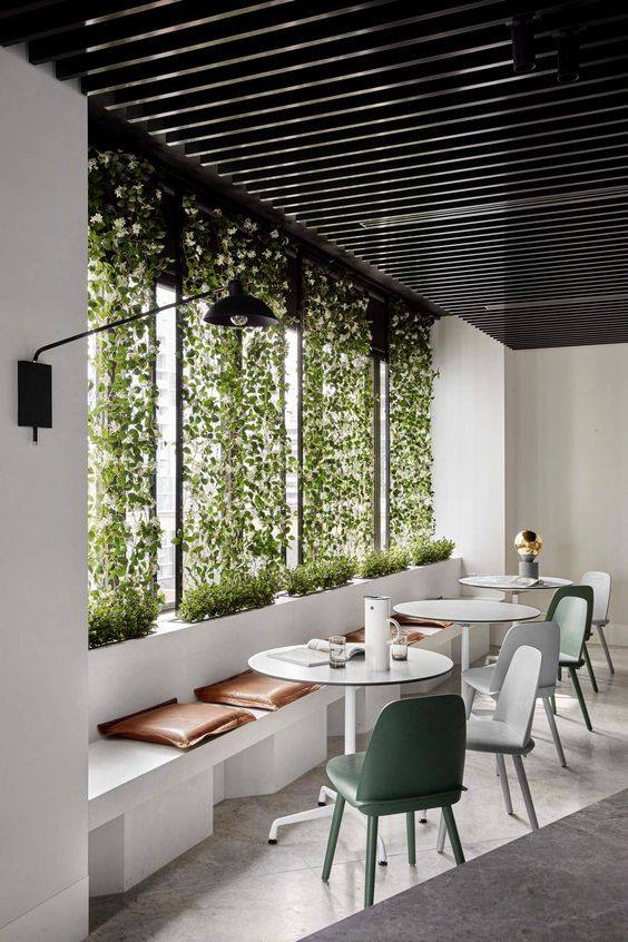Window Planting On Restaurant Window by Live Fabulous Contemporary | Interior Design Photos & Ideas