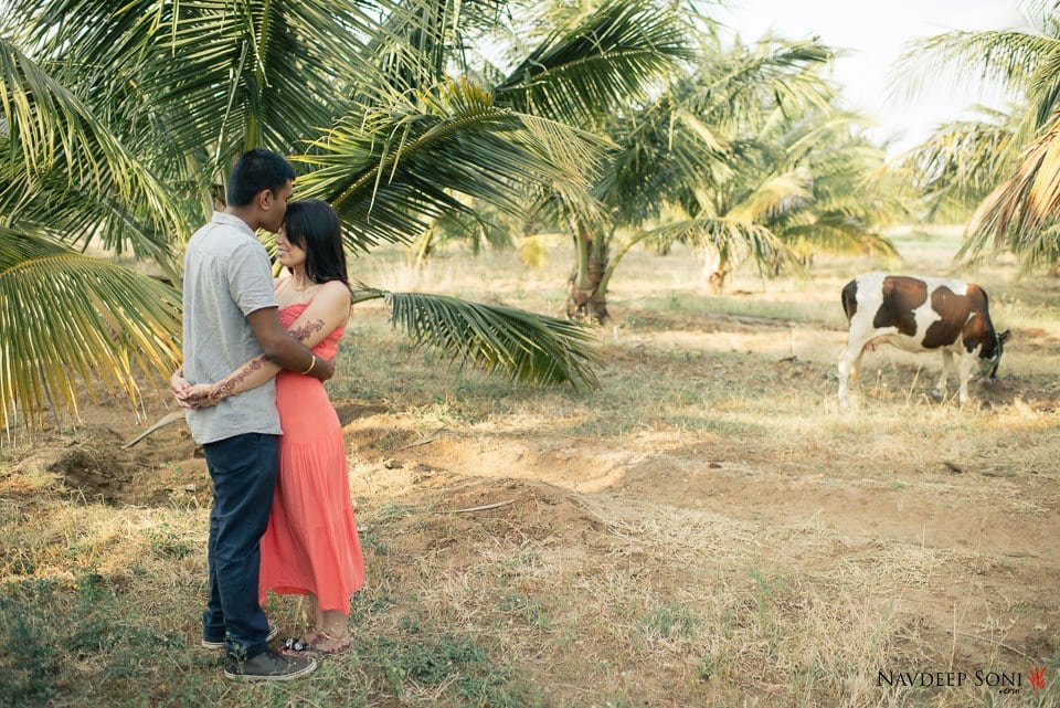 Exquisite Nature Themed Pre-Wedding Shoot by Navdeep Soni Wedding-photography | Weddings Photos & Ideas