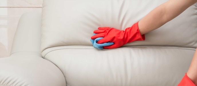Best Sofa Cleaning Services In New Delhi Mechanized Urban Company Sofa Cleaning Services In New Delhi, How To Dry Clean Sofa At Home Without Vacuum Cleaner