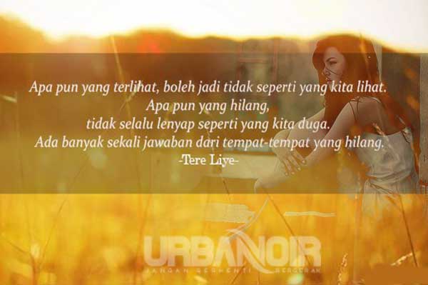 KATA KATA TERE LIYE TENTANG CINTA 