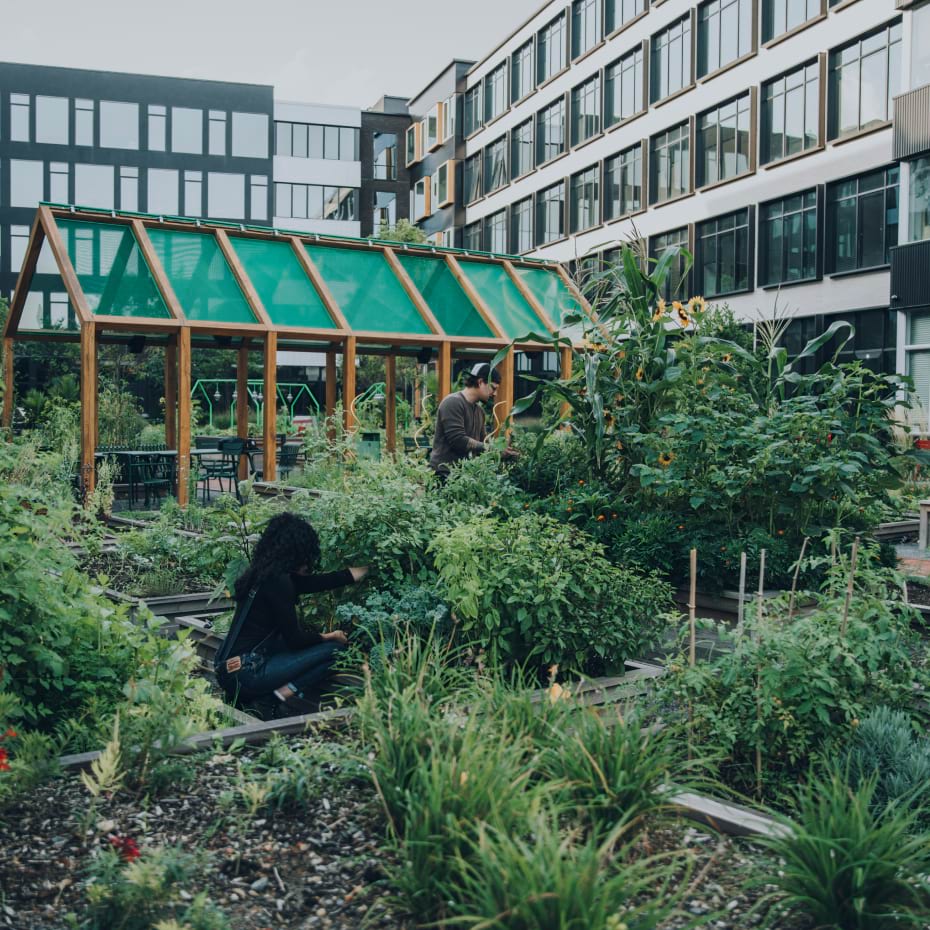 Harrison Urby Lush Green Courtyard and Resident Garden Patches - luxury apartments for rent in Harrison NJ