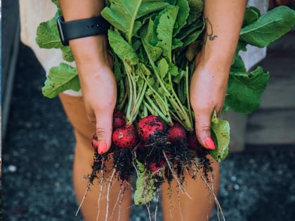 Harrison Urby Resident Garden - luxury apartments for rent in Harrison NJ