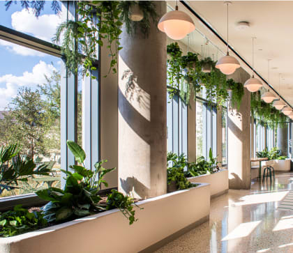 Bright and sunny designer lobby filled with lush green plants at Dallas Urby - luxury apartments for rent in Dallas TX