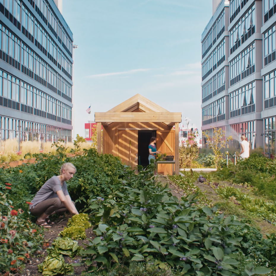 View of resident garden and farm patches at Staten Island Urby - luxury Staten Island apartments for rent