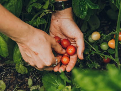 View of tranquil roof deck at Journal Square Urby - luxury Jersey City NJ apartments for rent