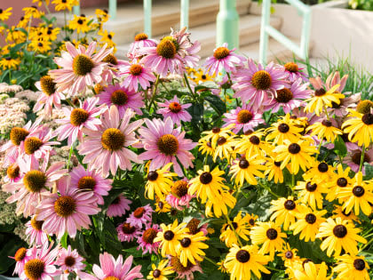 Lush roof deck at Newark Urby - luxury Newark NJ apartments for rent