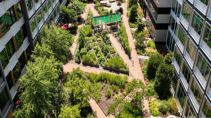 Harrison Urby Courtyard and Green Space