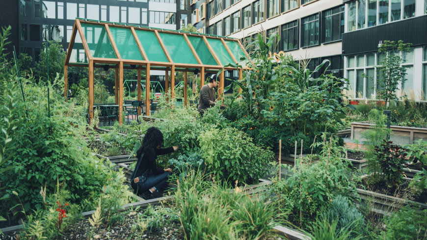 Harrison Urby Resident Garden Patches