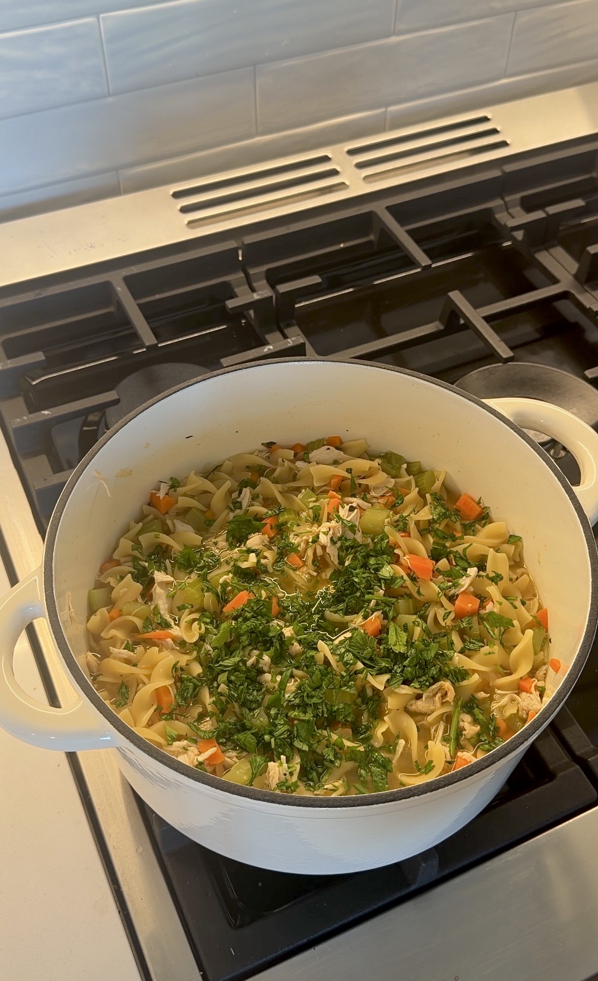 homemade chicken noodle soup with shredded chicken, carrots, celery, egg noodles, and fresh parsley