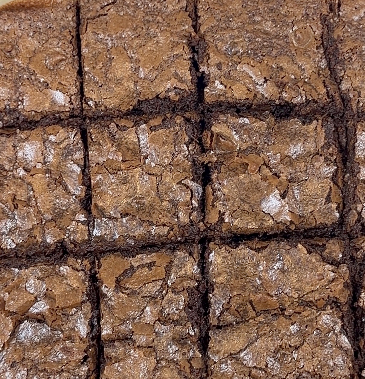 chewy chocolate brownies with shiny crinkle tops and chocolate chips