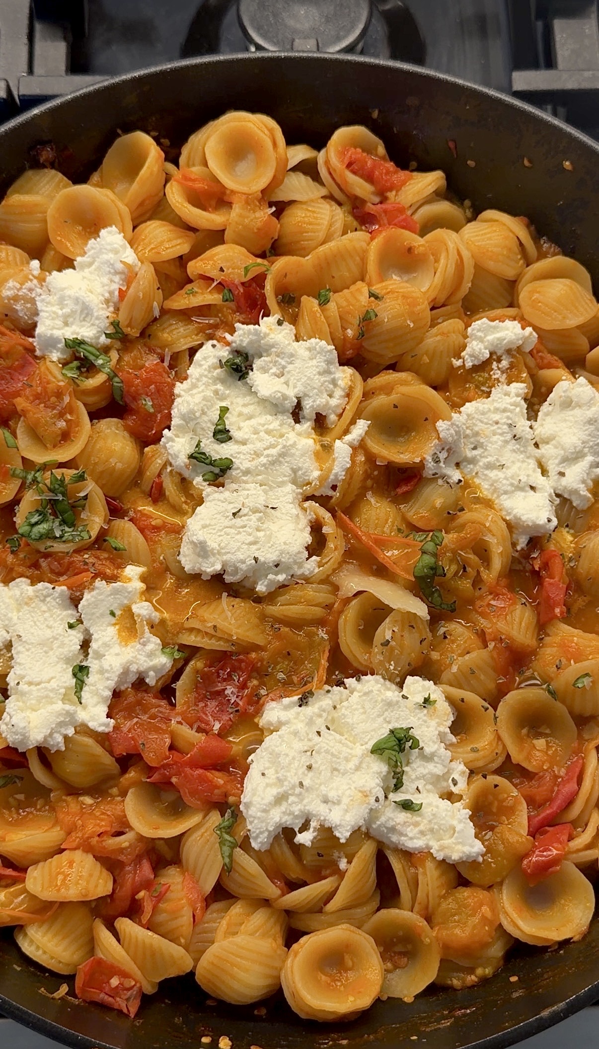 orecchiette with spicy cherry tomato sauce, ricotta, Parmesan, and fresh basil