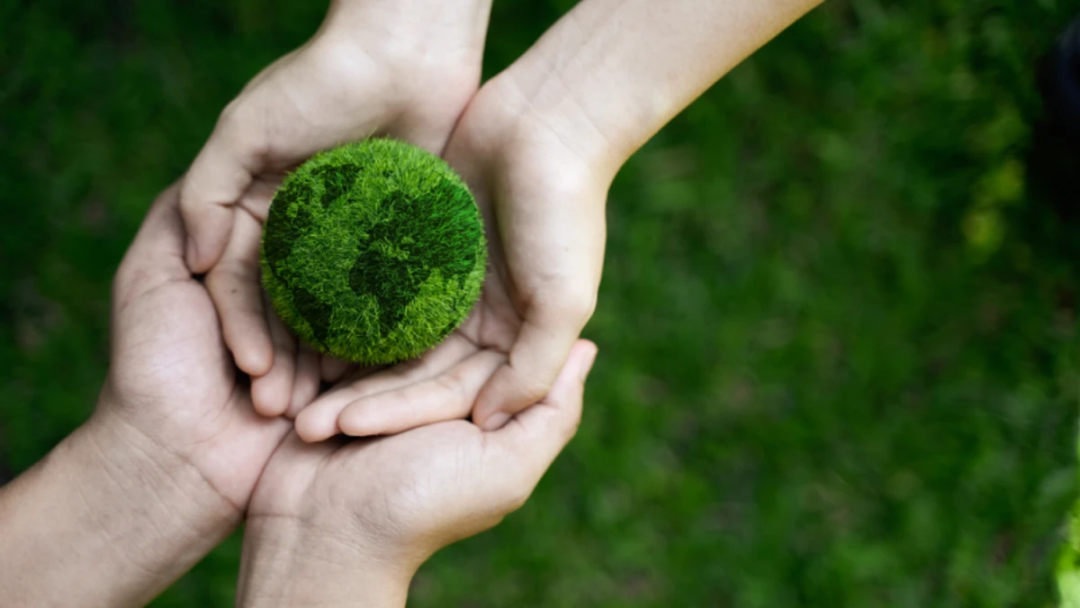 Smallholder farmers partnered with Tata direct sourcing initiative