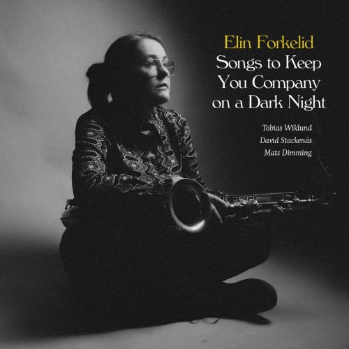 Elin Forkelid - Songs to Keep You Company on a Dark Night