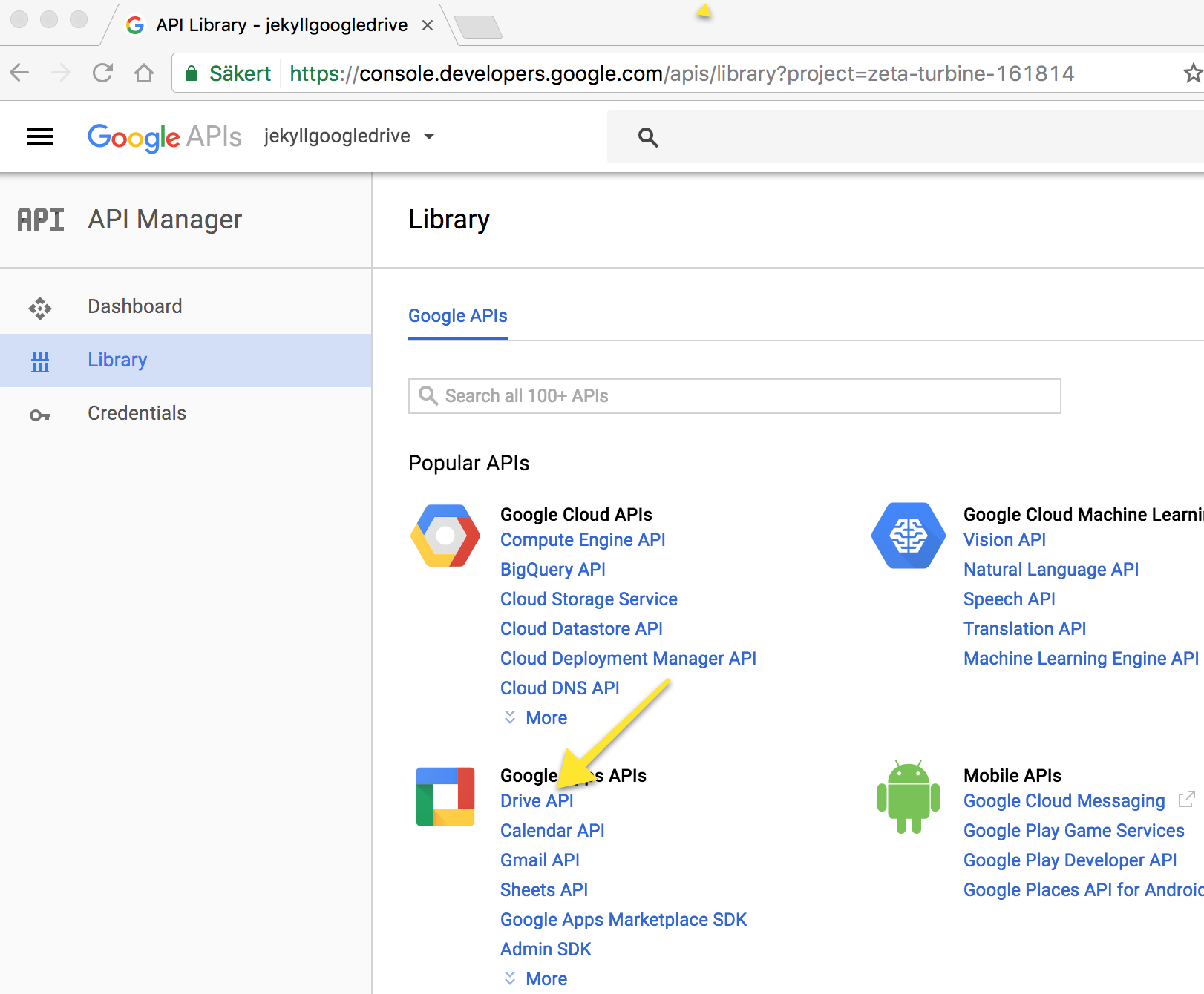 Enable the google drive api