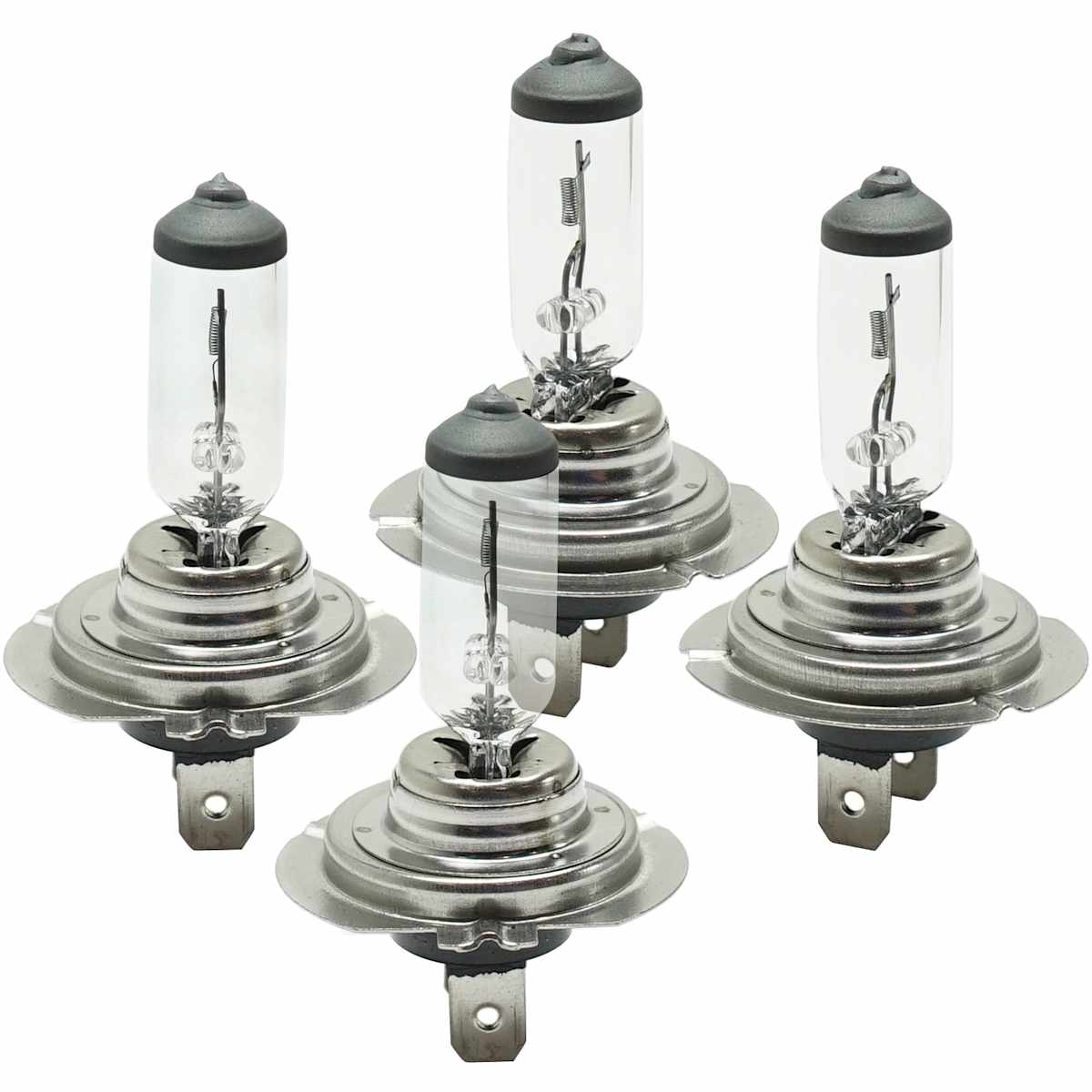 Bulbs