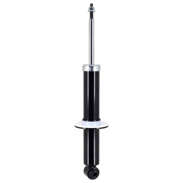 AM Shock Absorber and Strut Assembly SKU 355045