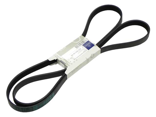 AM Serpentine Belt SKU 3Z90029935496