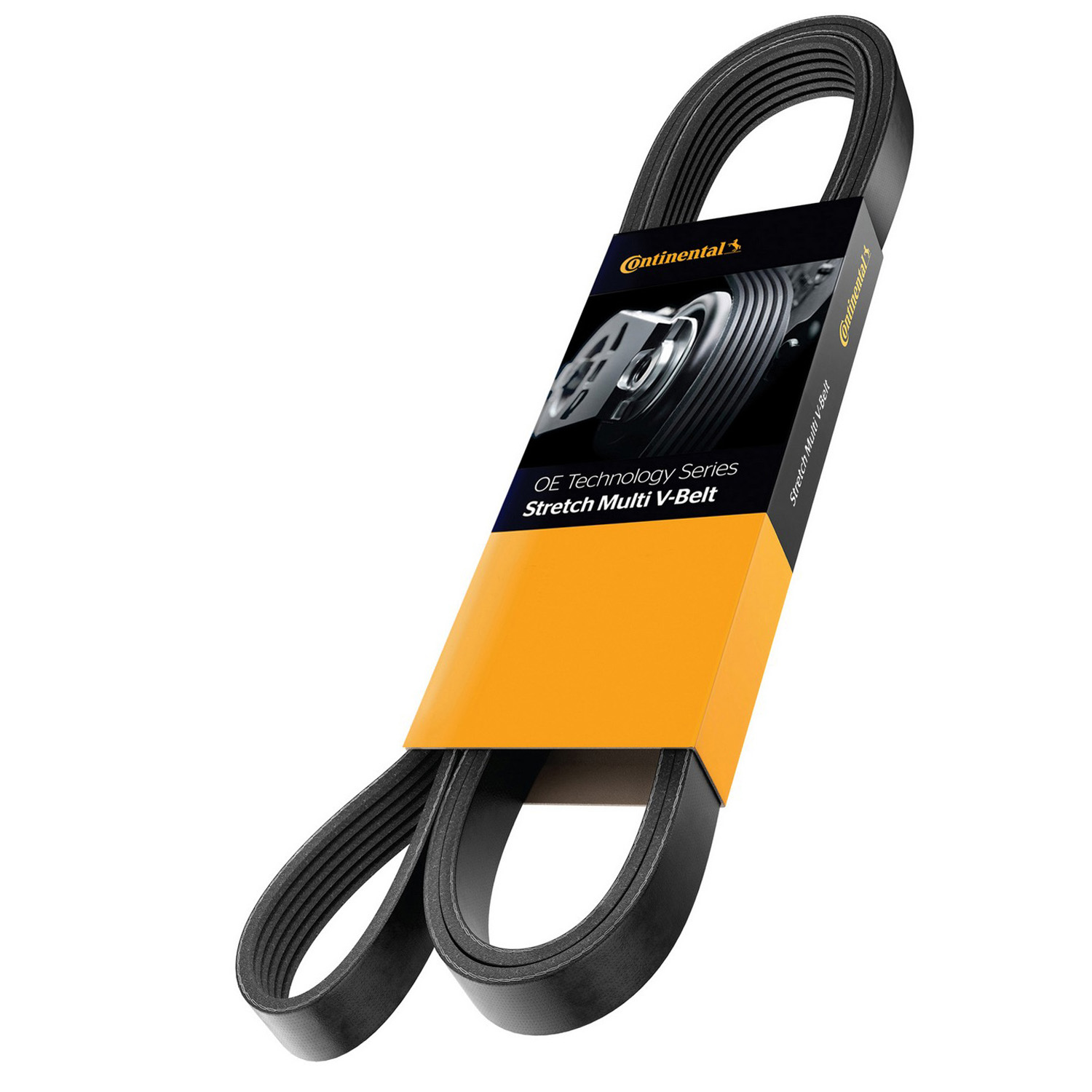 AM Serpentine Belt SKU 3Z94030199S
