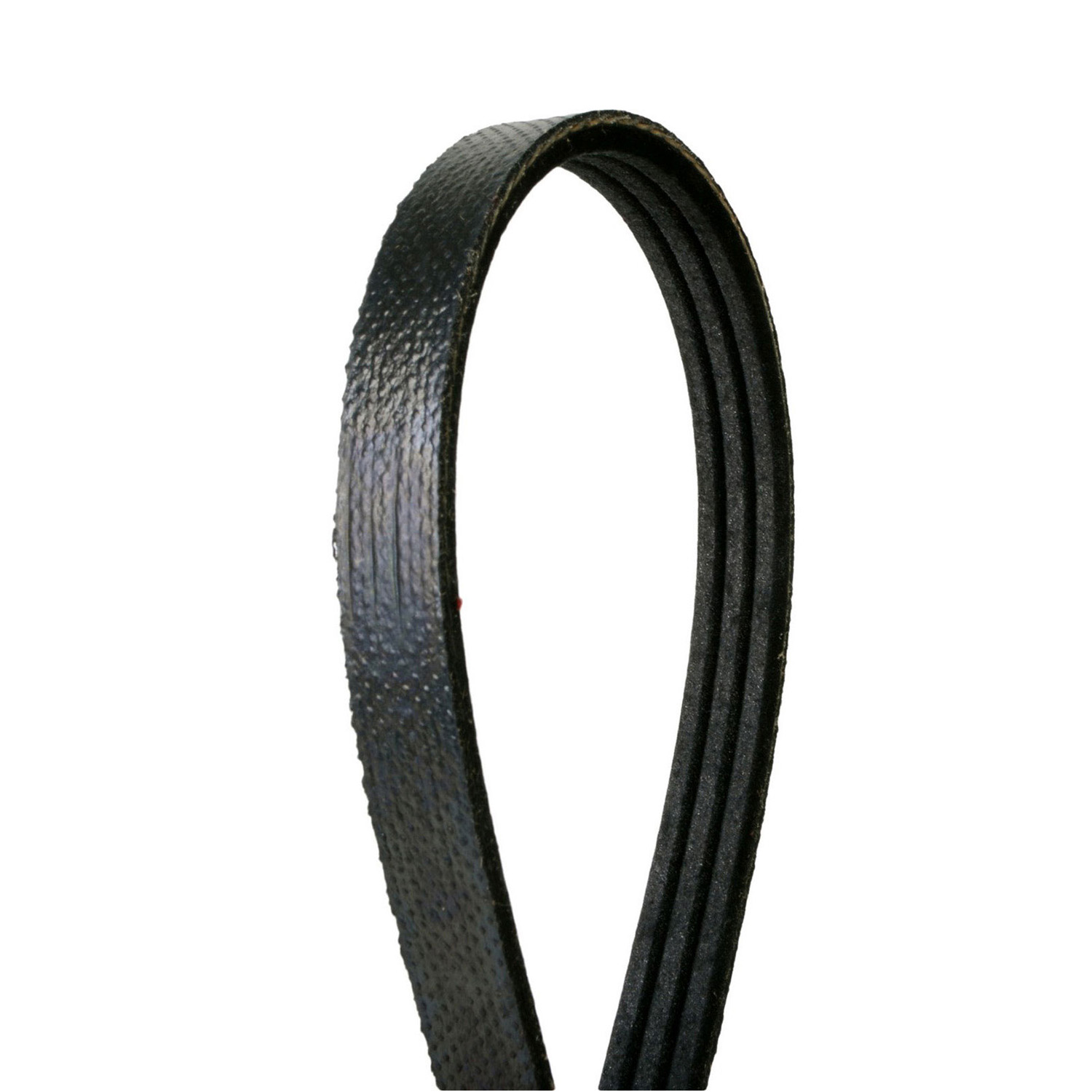 AM Serpentine Belt SKU 3Z94030267