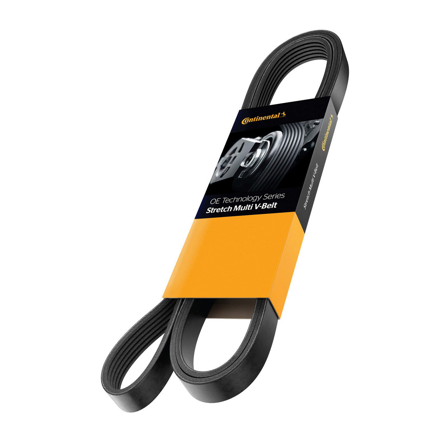 AM Serpentine Belt SKU 3Z94030317S
