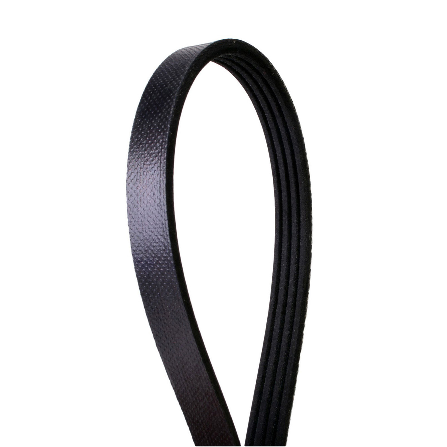AM Serpentine Belt SKU 3Z94040347