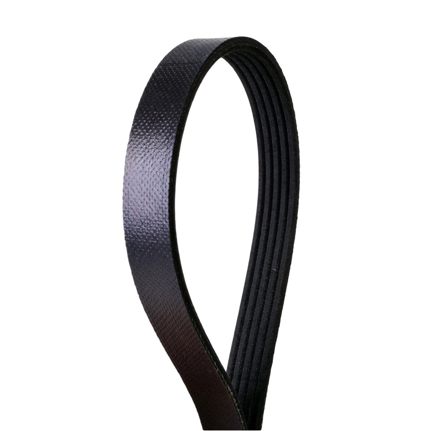 AM Serpentine Belt SKU 3Z94050347
