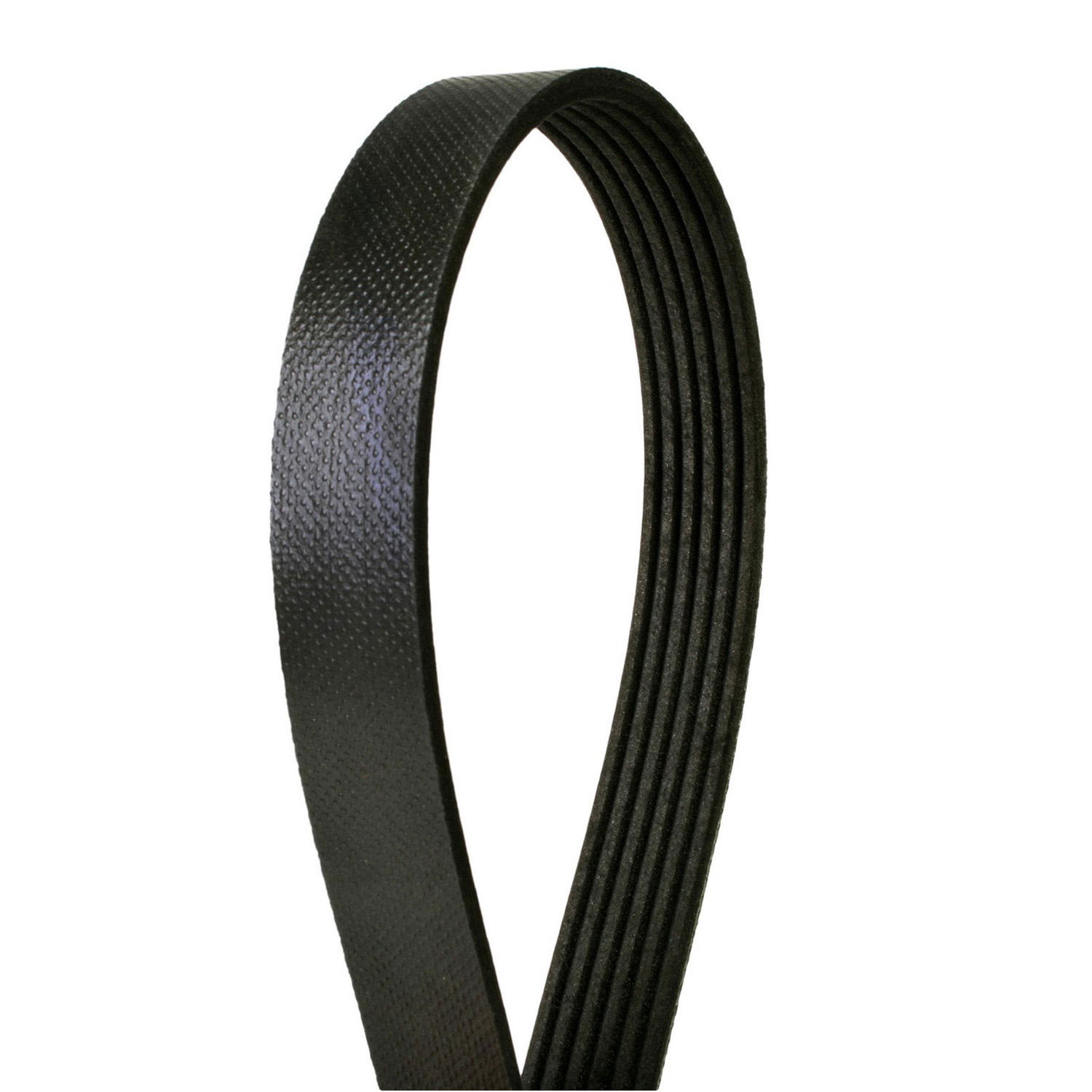 AM Serpentine Belt SKU 3Z94060468