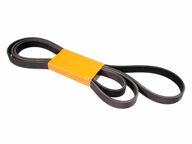 AM Serpentine Belt SKU 3Z999919238050