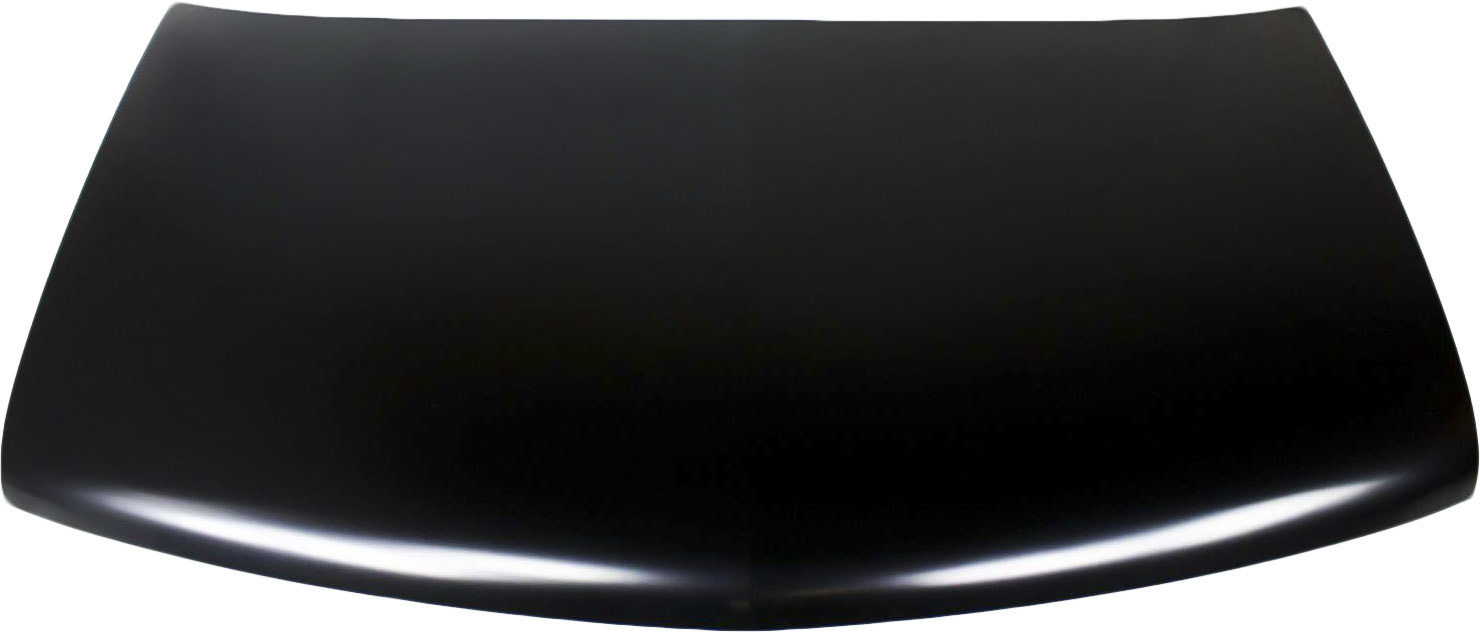 AM ASTRO SAFARI 95-05 HOOD SKU 6696 Partslink GM1230204 OEM 15059791