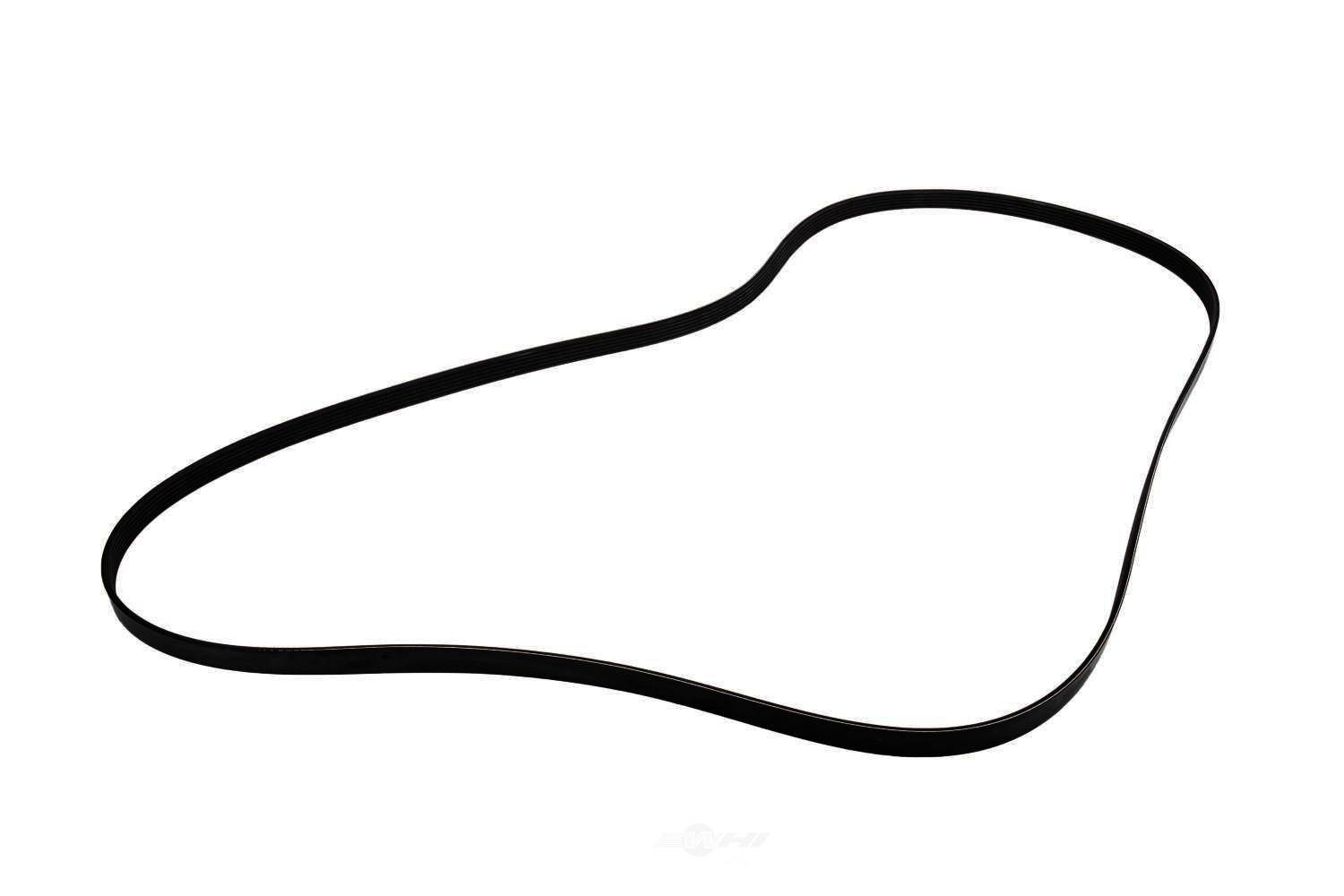 AM Serpentine Belt SKU AC12654815
