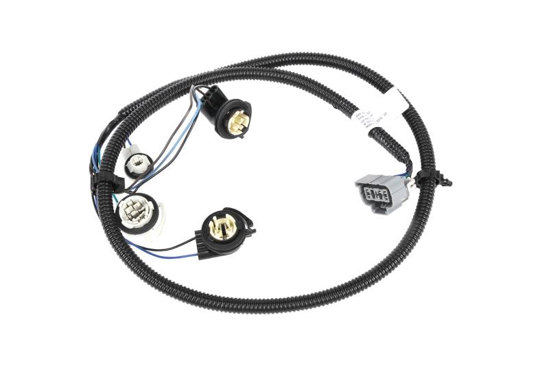 AM Tail Light Wiring Harness SKU AC16531401
