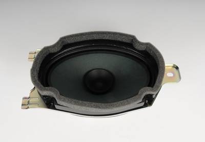 AM Speaker SKU AC20939209