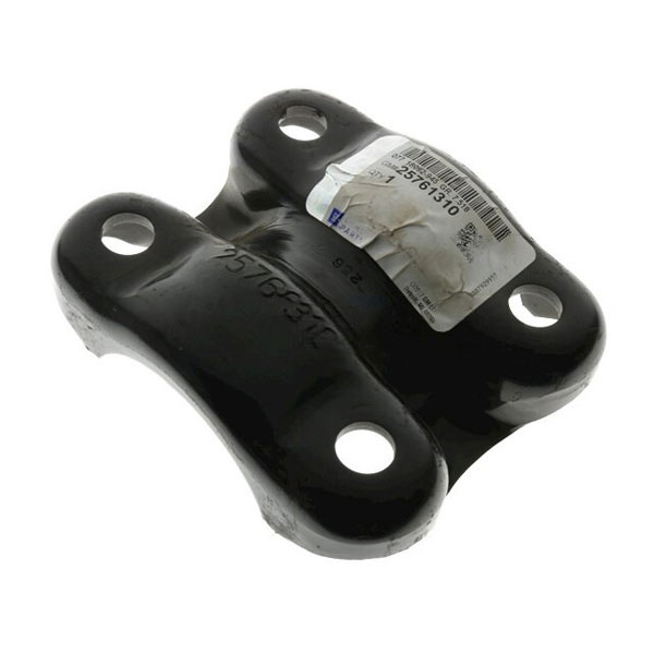 AM Leaf Spring Plate SKU AC25761310