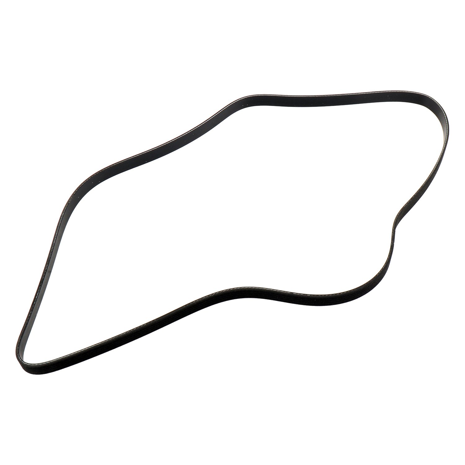 AM Serpentine Belt SKU AC55578811