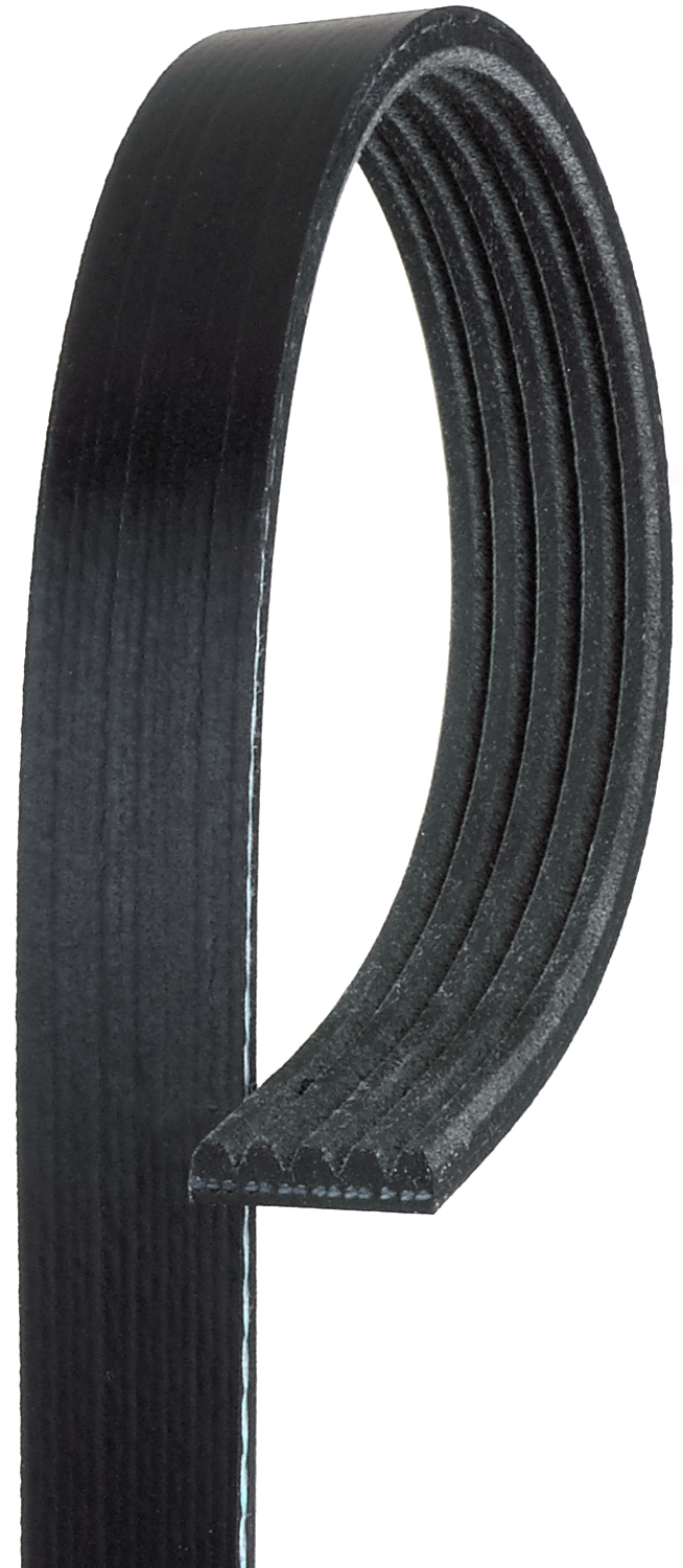 AM Serpentine Belt SKU AC5K405 OEM 88932591