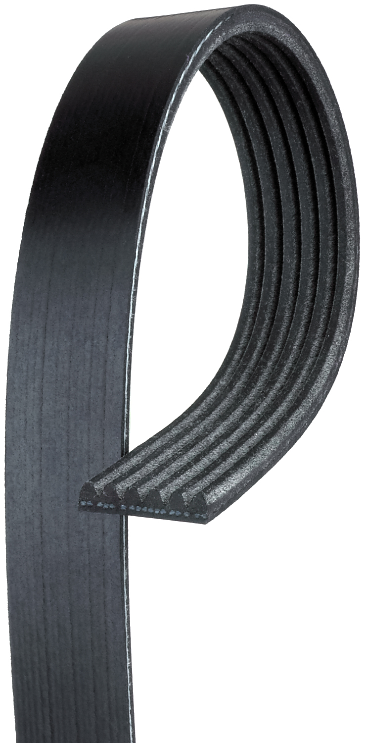 AM Serpentine Belt SKU AC6K711 OEM 19190771