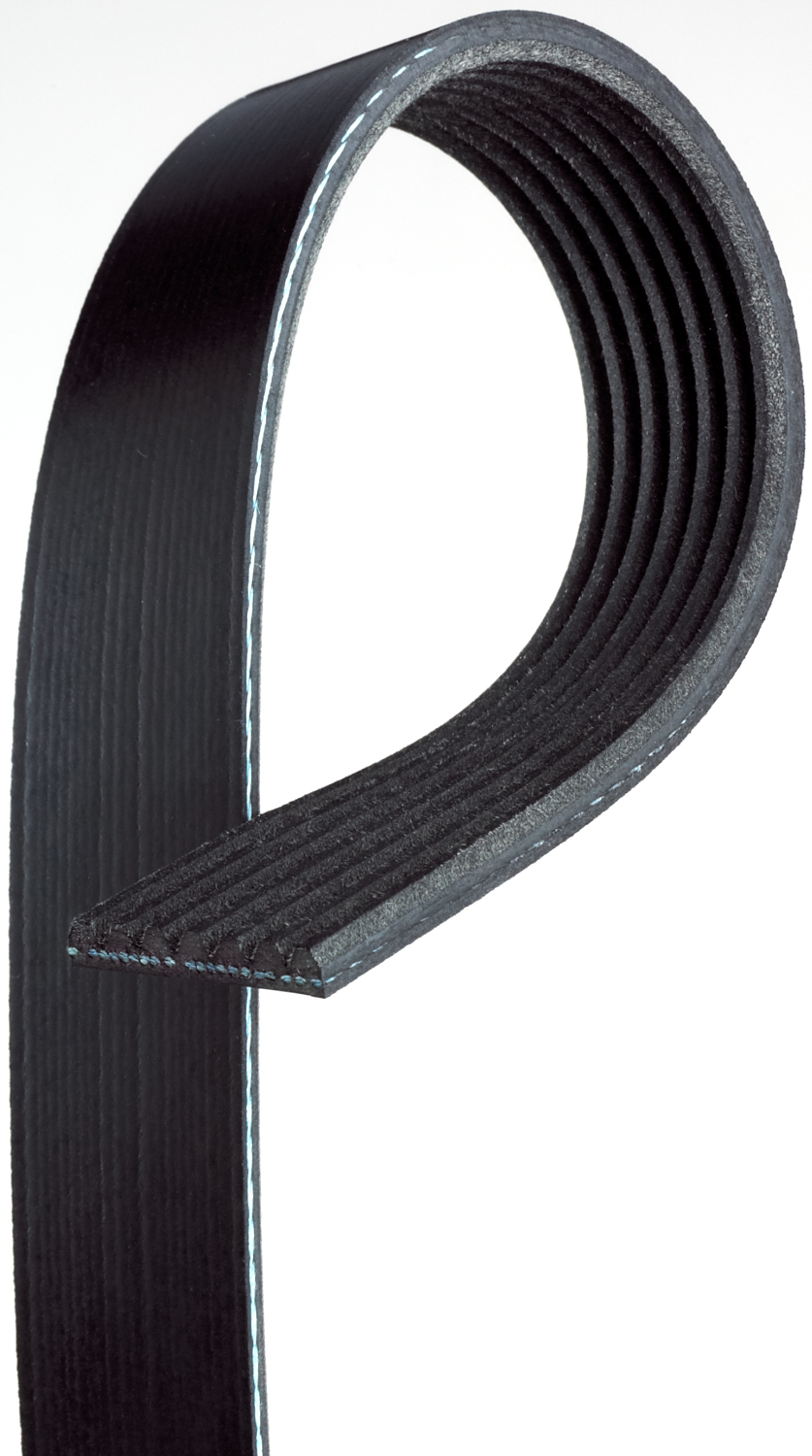 AM Serpentine Belt SKU AC7K971 OEM 19188344