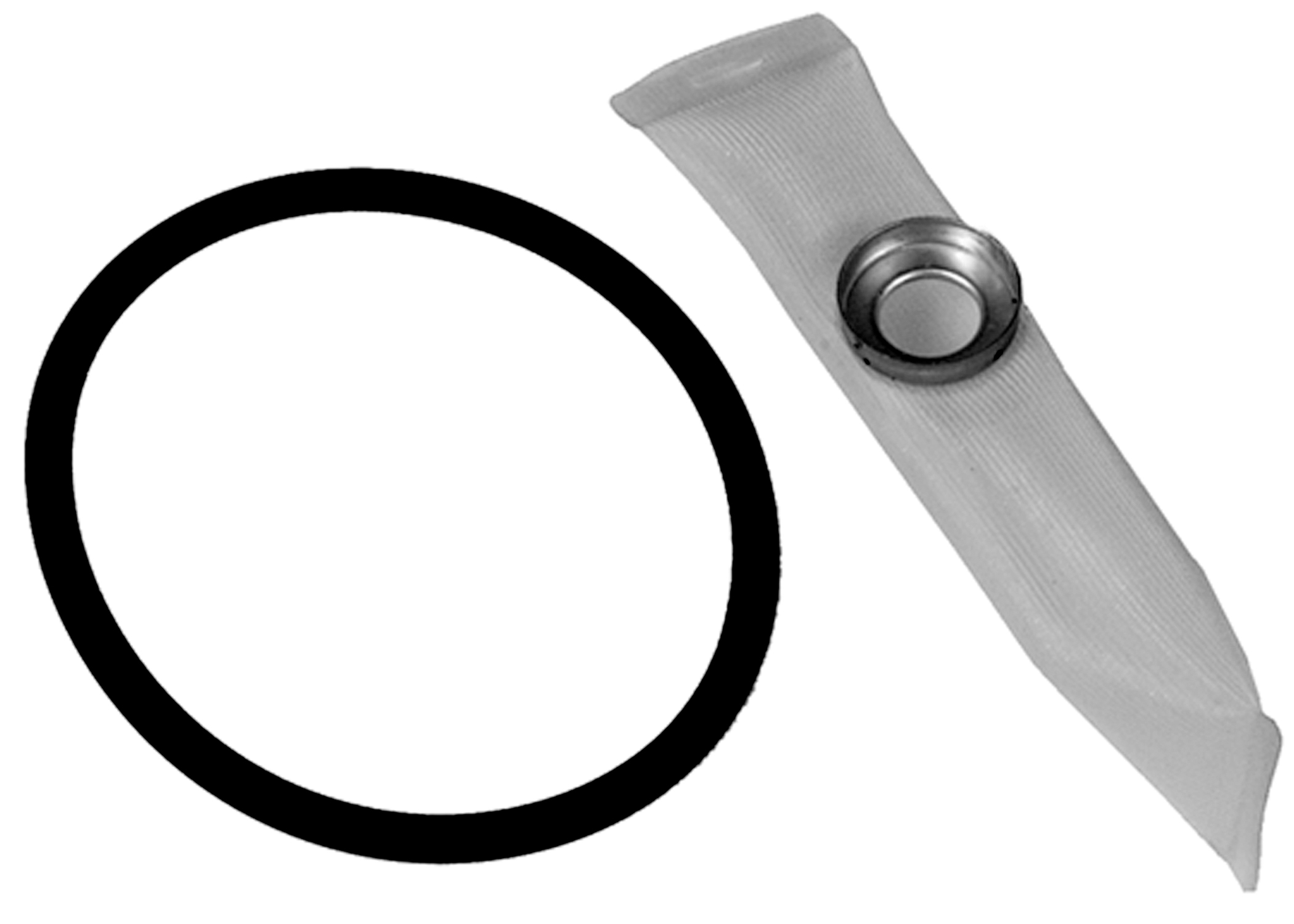 AM Fuel Pump Strainer SKU ACTS29