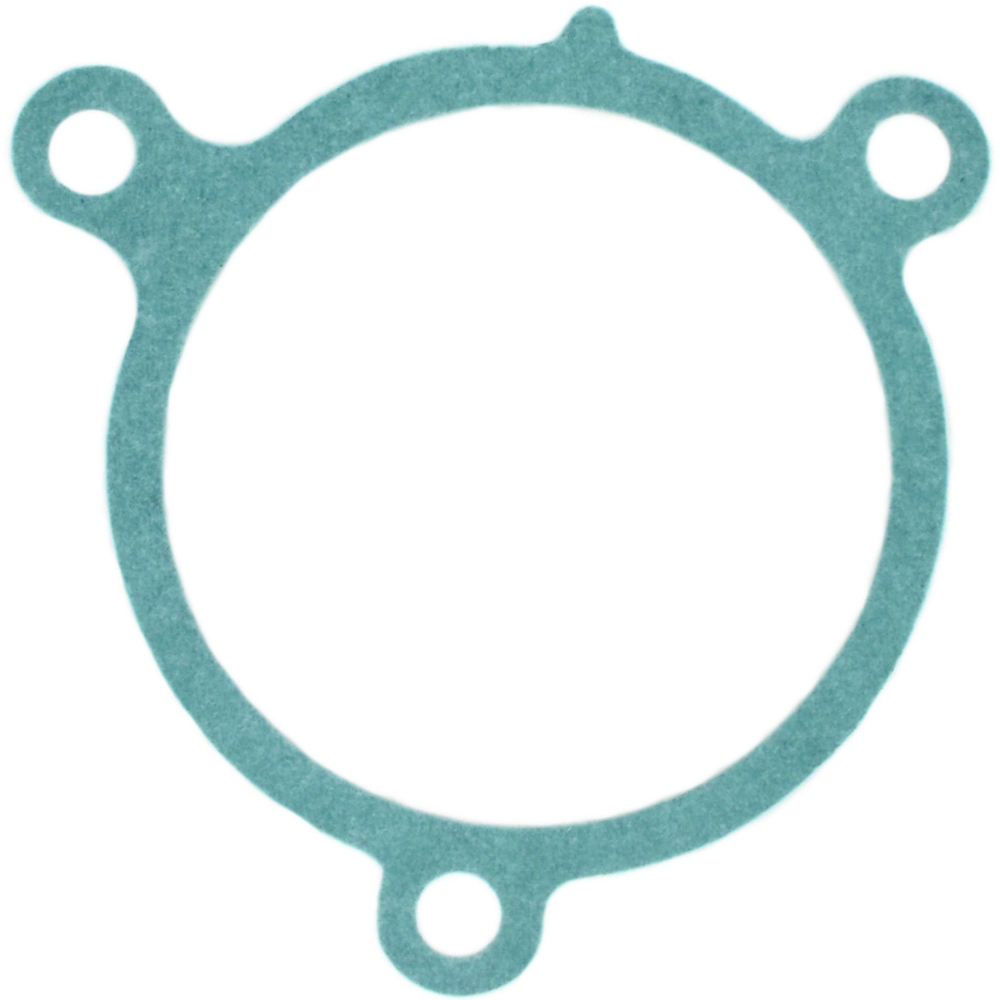 AM Water Pump Gasket SKU APXAWP3065