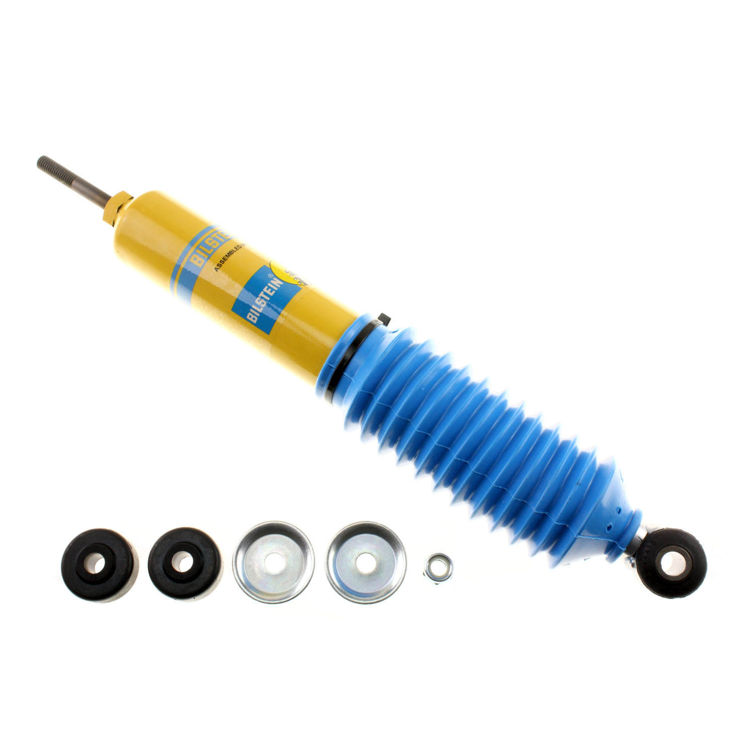 AM Shock Absorber and Strut Assembly SKU BIL24013284