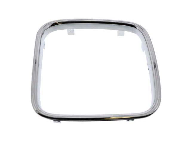 AM Grille Trim SKU BRA51131973898