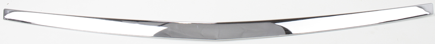 AM DTS 06-11 HOOD MOLDING Plastic SKU C132106 Partslink GM1235104 OEM 25767376