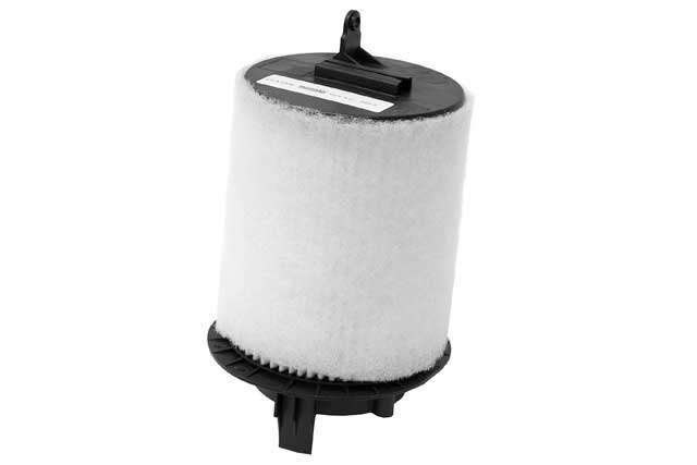 AM Air Filter SKU CFW80004668 OEM 420133843B