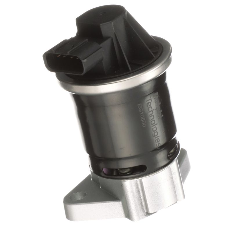 AM EGR Valve SKU DELEG10600