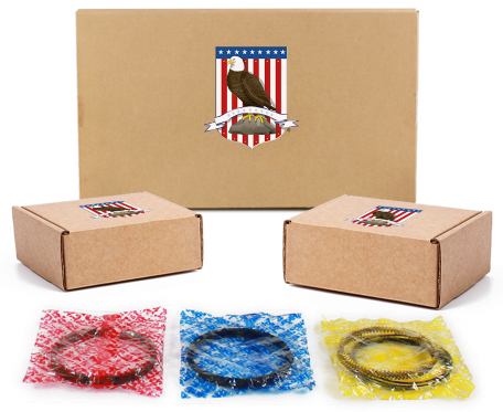 AM Engine Rebuild Kit SKU DNJRRK4217